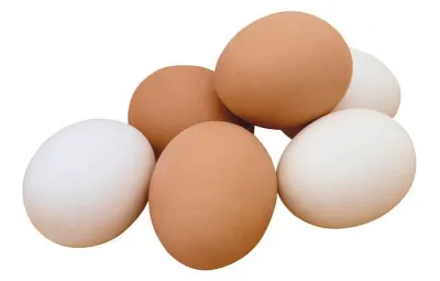 Яйца