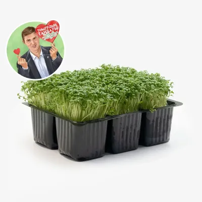Микрозелень кресс салат, 25 г