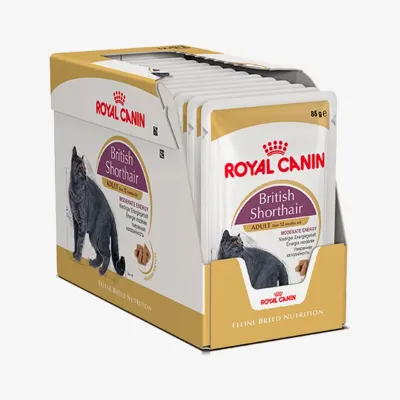 Корм влажный Royal Canin British Shorthair Adult для кошек породы британская короткошерстная 85 г 12 шт