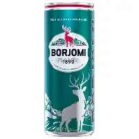 Borjomi 1890 минеральная 0,33л ЖБ