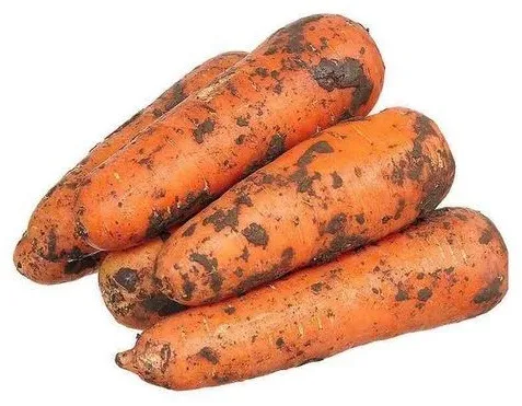 Морковь отборная Казахстан, кг
